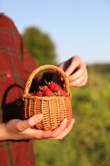 Woman holding basket with fresh strawberries outdoors, closeup