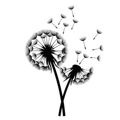 Obraz premium Dandelions blowing in the wind with seeds scattering in the air 