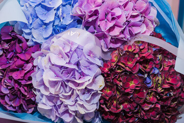 A luxurious bouquet of different shades of lilac hydrangeas. Bunch of many colorful fragrant flowers. Floristry and floral design concept. Floral texture