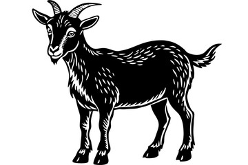 goat vector illustration