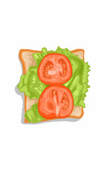 Salad Fresh lettuce  white bread  and sliced tomatoes 
