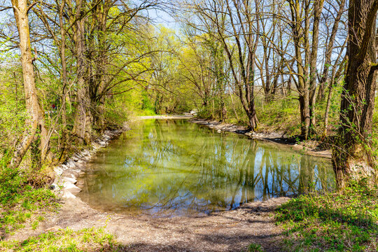 sccenic nature in Munich english garden and blooming trees