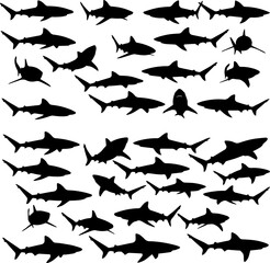 A collection of shark silhouettes in various swimming positions and angles, creating a pattern against a white background.