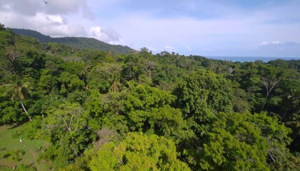 Lush green canopy extends across a vibrant tropical landscape in a captivating aerial view