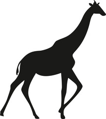 giraffel Silhouette 