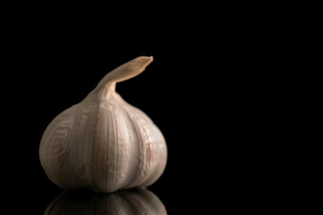 Garlic heads isolated on white and black background, close-up.