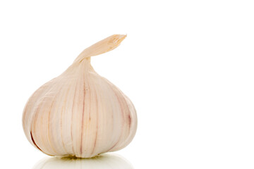 Garlic heads isolated on white background, close-up.