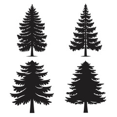 Obraz premium Coniferous Forest Trees pine tree fir tree