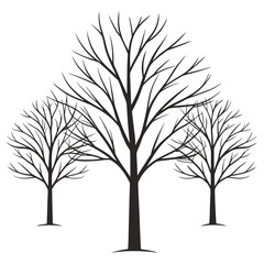 Obraz premium Bare Winter Trees branches silhouette