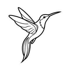 elegant hummingbird line art natures grace