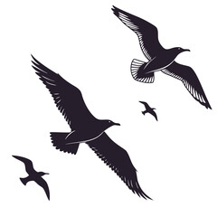 Obraz premium Elegant silhouette of birds in flight against a clean white background