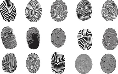 Diverse Fingerprint Vector Collection. Vector of various fingerprints, showcasing different patterns and qualities. Ideal for forensic science, security and biometric design