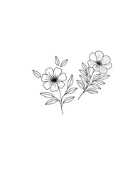 A high-quality black floral line art PNG featuring two elegant hand-drawn flowers and scattered leaves. Perfect for digital designs, wedding invitations, logos, packaging, tattoos, and minimalist home