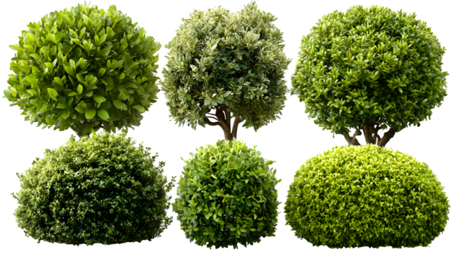 Cute newborn crochet shoes in light pink with rounded toe and detailed stitching, isolated on transparent background