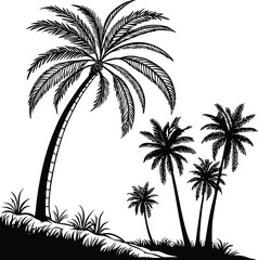 Obraz premium Collection of diverse black silhouette palm trees for tropical designs
