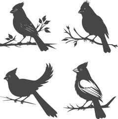 birds silhouettes set