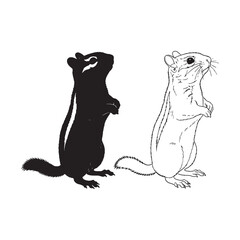 Resourceful Spirit Evident - Chipmunk Contour Duo - Minimalist Silhouette and Lineart for Vector Use - Chipmunk silhouette - Chipmunk lineart - Chipmunk vector - vector set of Chipmunk

