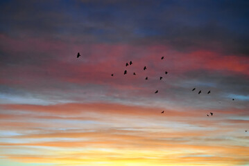 clouds in the sky