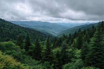 Fototapeta premium Expansive mountain valley vista under a dramatic cloudy sky with lush green forest canopy