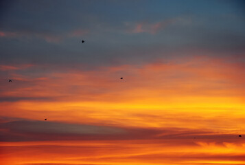 clouds in the sky