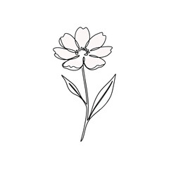 Delicate white flower petals arranged in a circle isolated on transparent background