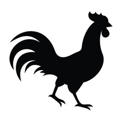 Black silhouette of a rooster standing on a white background