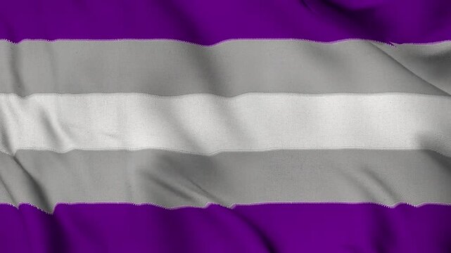 The Grey asexuality pride flag background. Realistic Grey asexuality pride flag waving in the wind. LGBTQ Grey asexuality community symbol Perfect Loop 4K video.