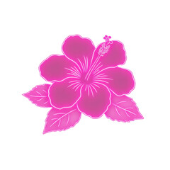Fototapeta premium Vibrant pink hibiscus flower with leaves isolated on transparent background