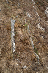 Tombes, Site archéologique, Le Sabel, Les Costes Gozon, Aveyron, 12, France