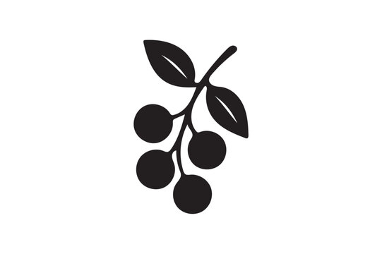 Bignay icon silhouette illustration with white background.