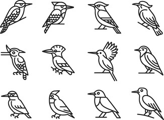 Collection of twelve hand drawn bird illustrations in black and white outline style