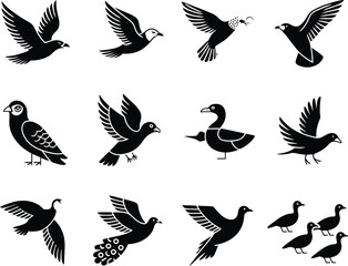 Obraz premium Collection of silhouette bird illustrations in various flying and perched poses