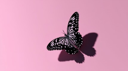 Pixelated Black and White Butterfly on Pink
