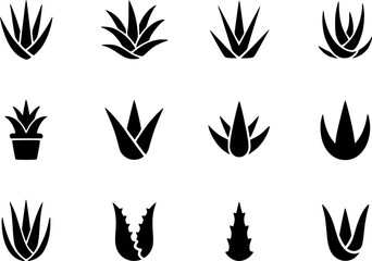 Black succulent plant icons aloe nature