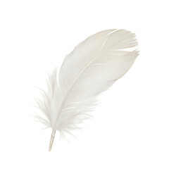 Obraz premium Single white feather isolated on transparent background