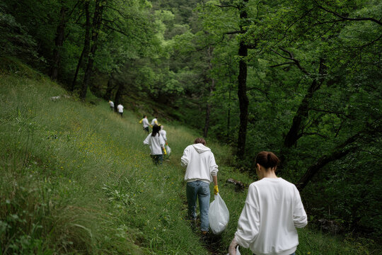 on international volunteers day dedicated volunteers work together in lush natural setting to improve environment