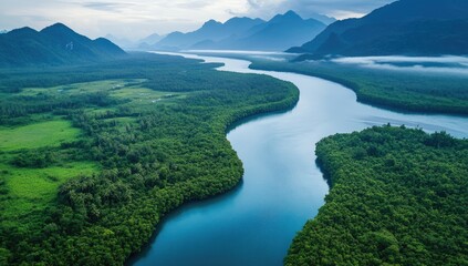Serene river winding through lush tropical landscape