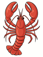 cooked lobster on white background