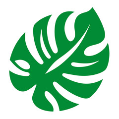 Stylized green monstera leaf silhouette with natural fenestrations on white background