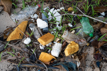 Plastic bottles, Styrofoam, and trash along the Amazon River, causing pollution and contaminating water and fish. Concept of environment, ecology, biodiversity, climate change, global warming.