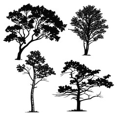Silhouette Trees in Monochrome: A set of detailed, artistic black silhouette trees, perfect for creating a natural and elegant design elements in any projects. 