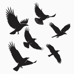 Obraz premium Soaring Silhouettes: A flock of crows take flight against a neutral background, their dark shapes create a dynamic display. evoking mystery and freedom.