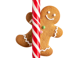  Gingerbread Man Cookie Peeking from Behind Candy Cane, Partial View, isolated