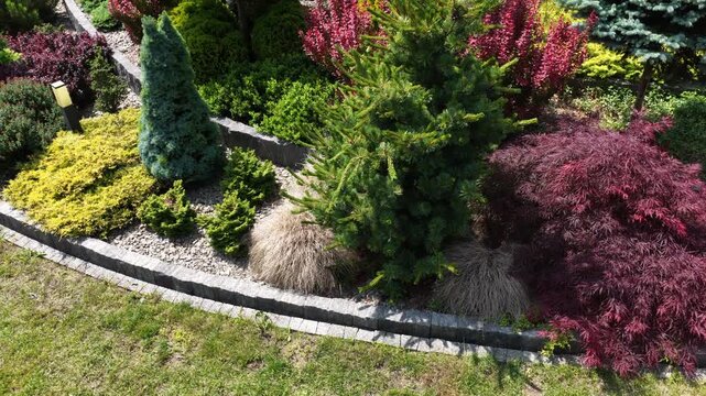 Exploring a Vibrant Garden With Diverse Plants and Colorful Landscaping Elements