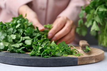 Woman with fresh green cilantro at light table, closeup