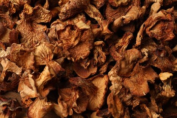 Many dried chanterelle mushrooms as background, closeup