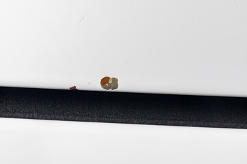 Rock chip, door ding in car paint. Automotive body repair, maintenance and paint damage concept.