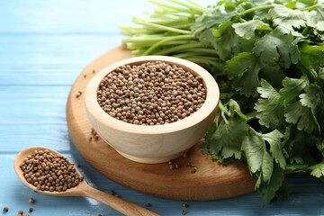 Coriander seeds and fresh cilantro on light blue wooden table, closeup
