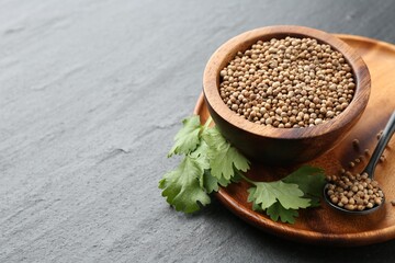Coriander seeds in bowl, spoon and fresh cilantro leaves on dark textured table, closeup. Space for text
