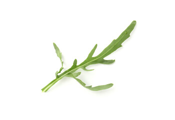Fresh ripe green arugula leaf isolated on white